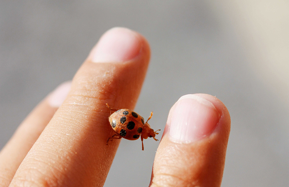 budding engineers think about experiments to practise the scientific method
